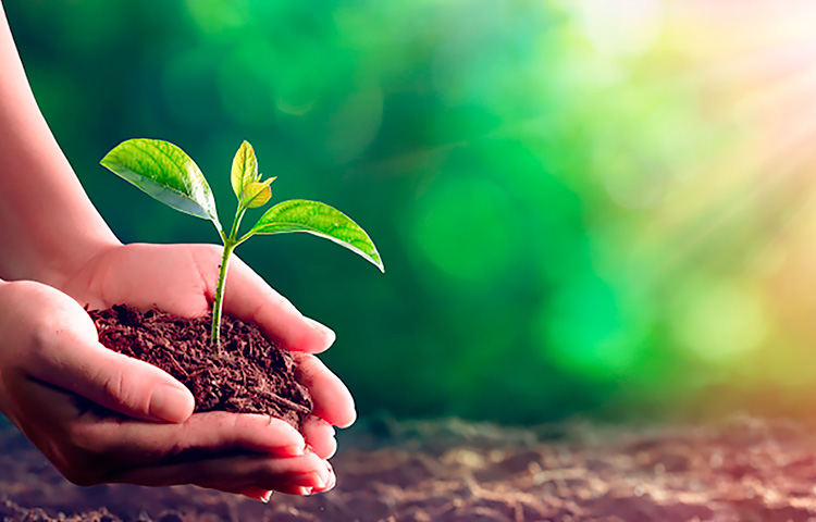 �������ˡ�(�й���) - �ٷ���վ