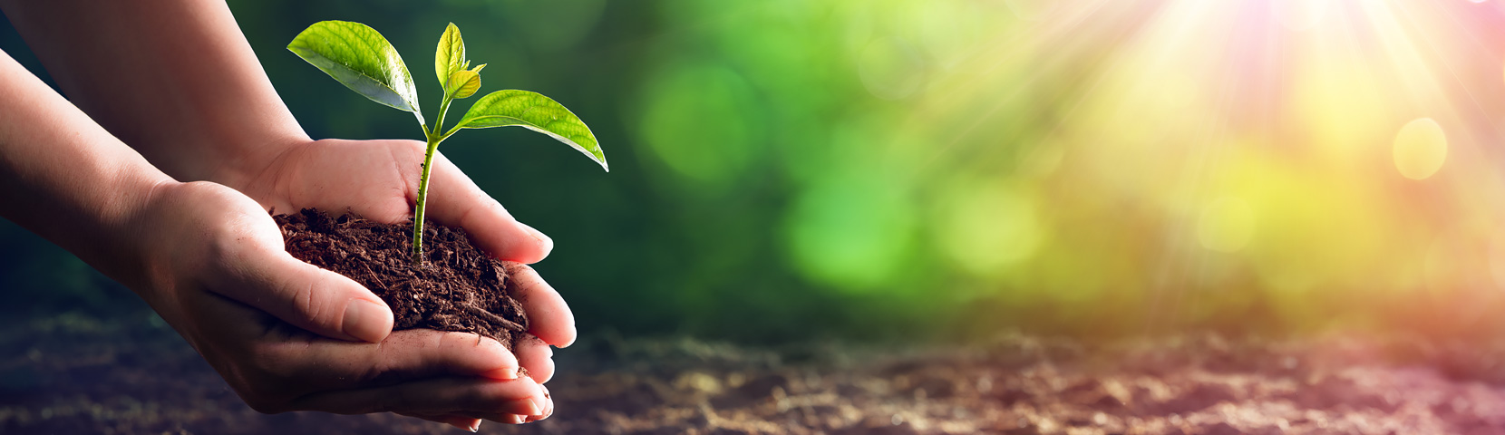 �������ˡ�(�й���) - �ٷ���վ